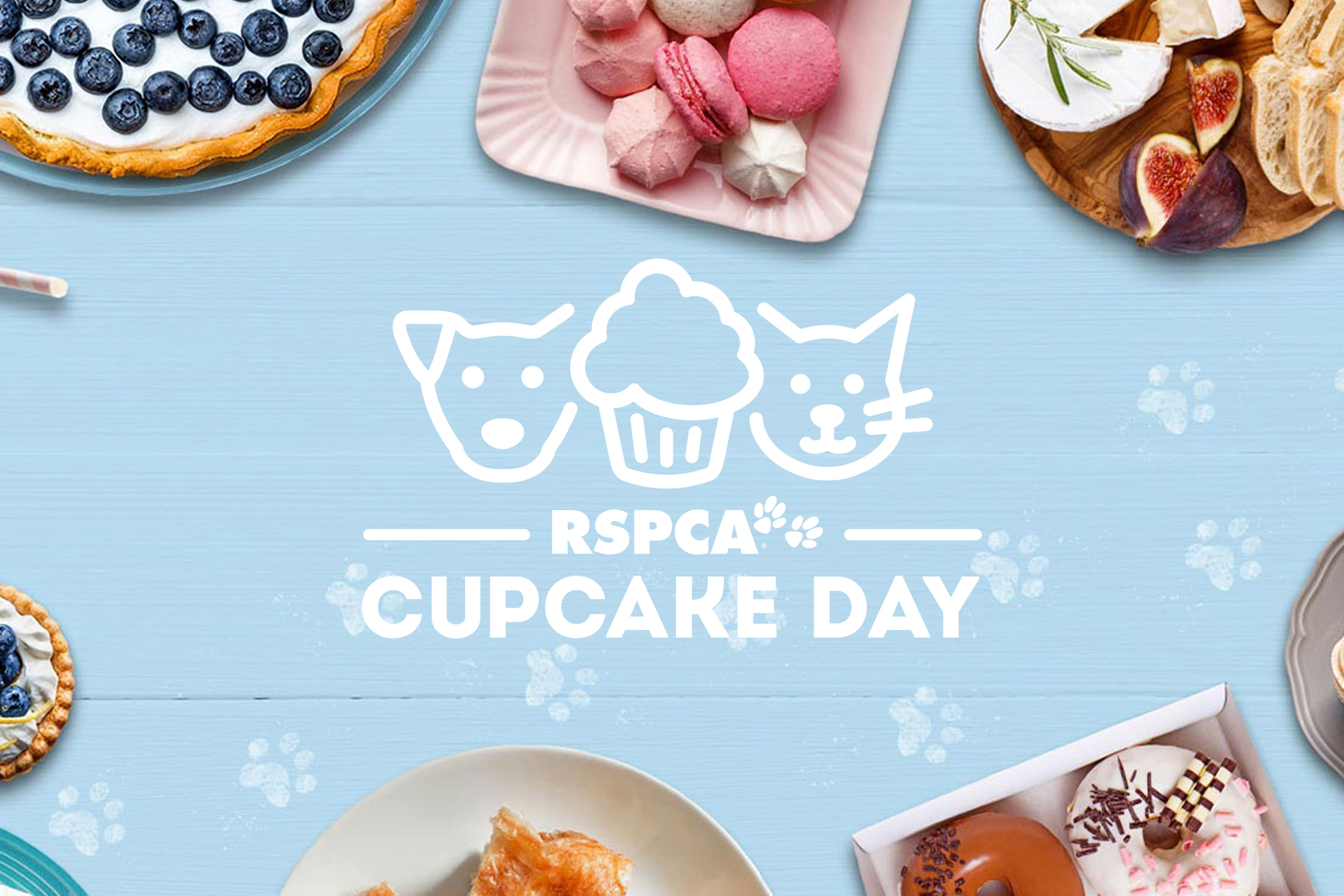 A Sweet Cause: RSPCA Cupcake Day at Pacific Health &amp; Wellbeing